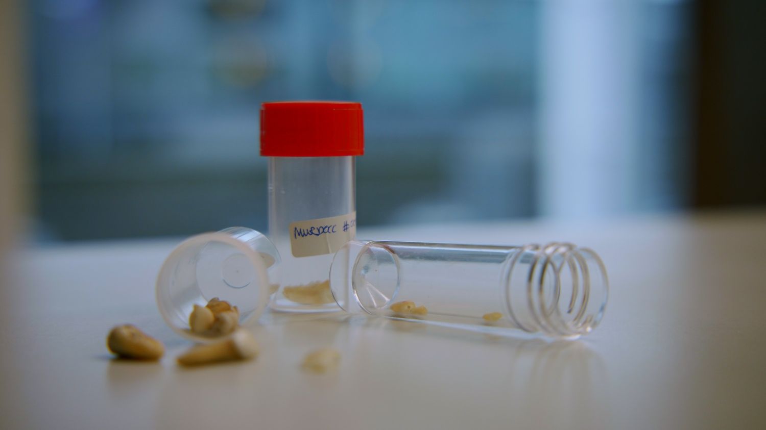 Multidisciplinair forensisch onderzoek van onbekende doden en cold cases Multidisciplinair forensisch onderzoek van onbekende doden en cold cases